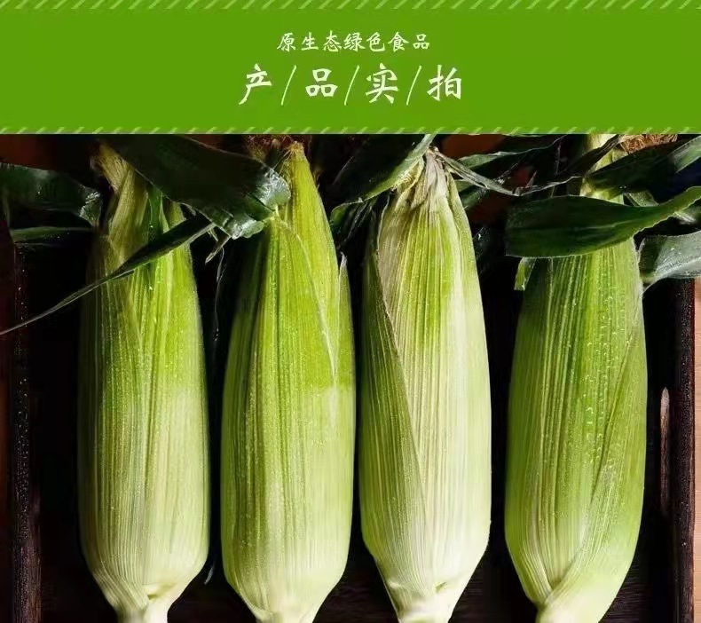 昭通水果玉米 昭通水果玉米