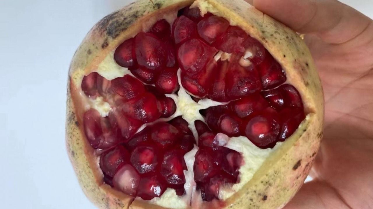 蒙自石榴 蒙自石榴