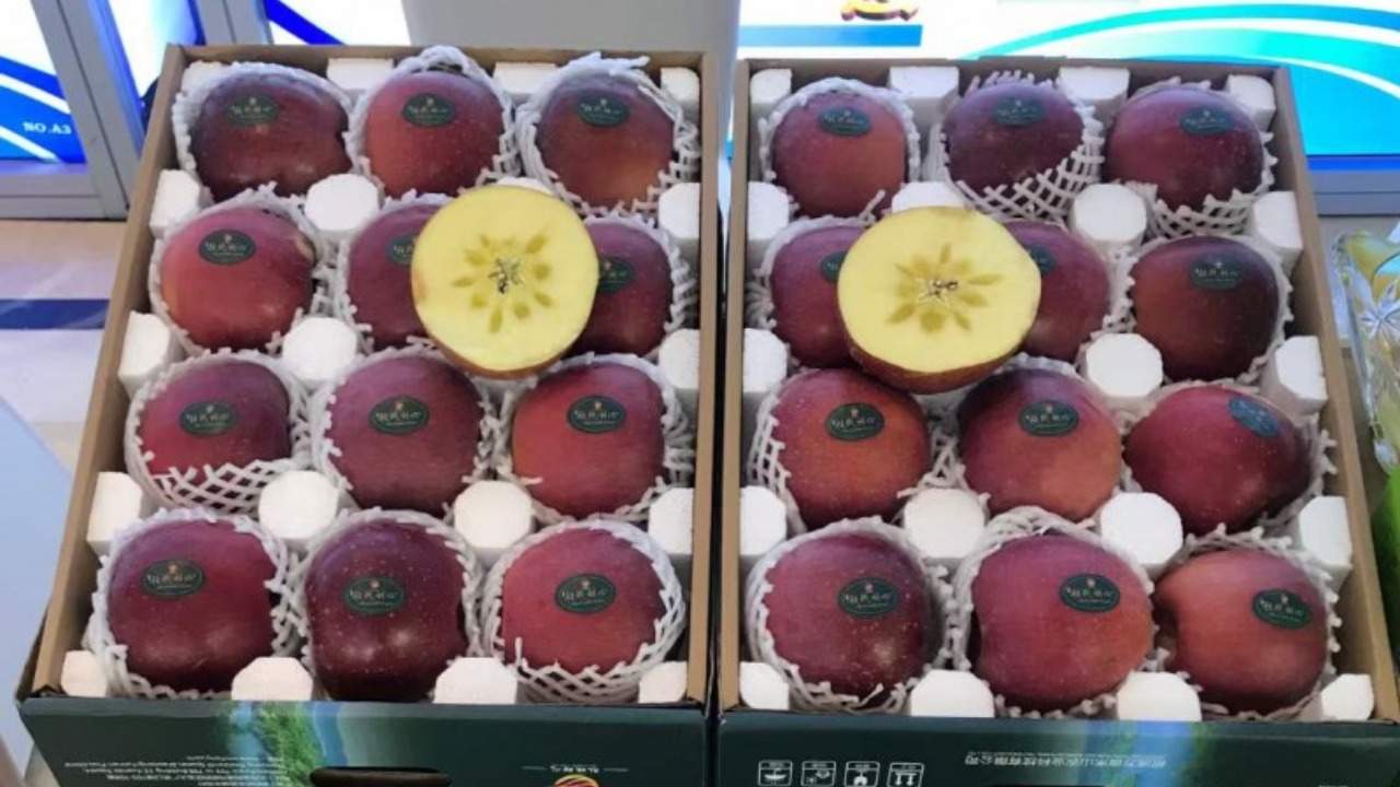 昭通糖心蘋果 昭通糖心蘋果