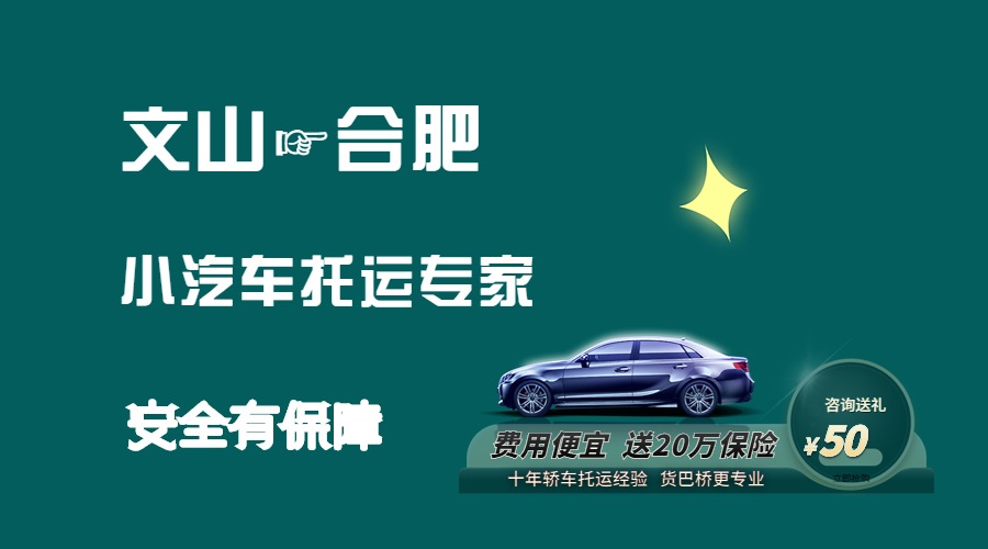 文山到合肥轎車托運(yùn)