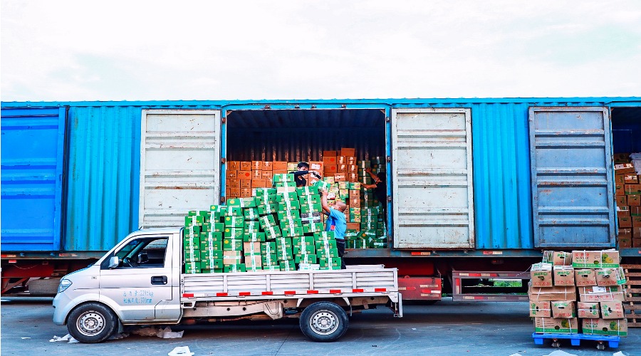 芒果運輸 芒果運輸