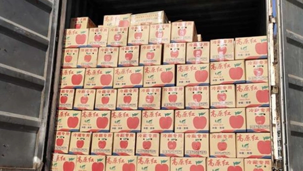 蘋果長途運輸 蘋果長途運輸