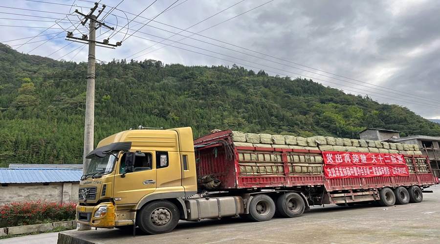 中藥材整車運(yùn)輸 (1) 中藥材整車運(yùn)輸 (1)