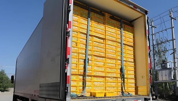 葡萄長途運輸 葡萄長途運輸