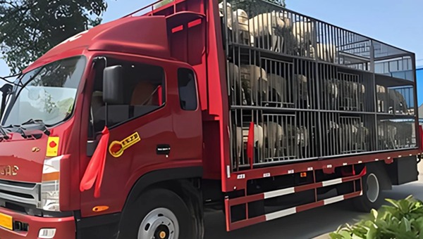 找貨車拉小羊 找貨車拉小羊