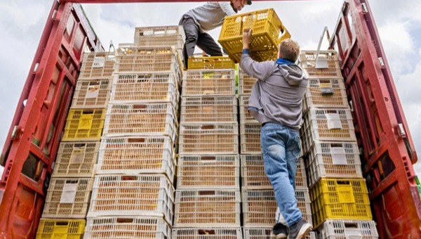 棧板運輸 棧板運輸